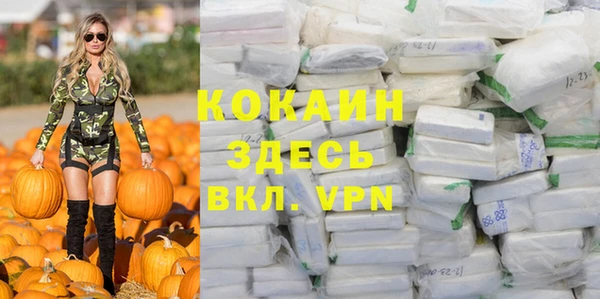 тгк Каменногорск