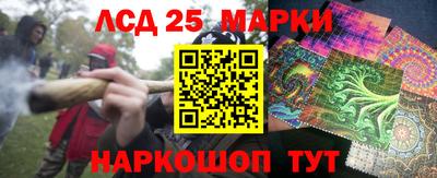 jwh Бийск
