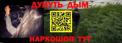 jwh Бийск