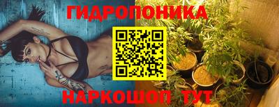ПСИЛОЦИБИНОВЫЕ ГРИБЫ Берёзовский