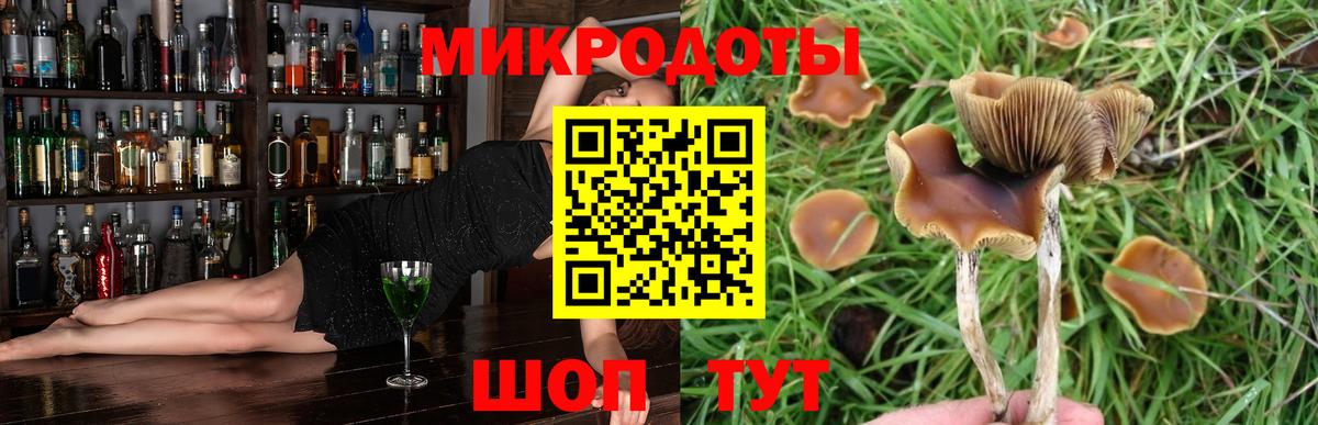 Галлюциногенные грибы Magic Shrooms Ивантеевка