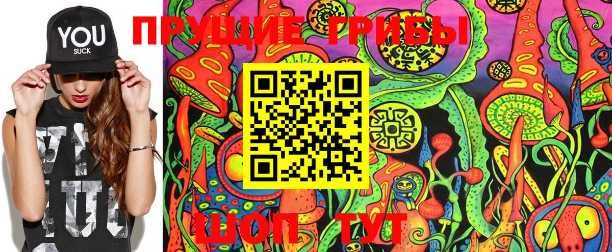 Ивантеевка  Галлюциногенные грибы MAGIC MUSHROOMS  Вход с VPN  Галлюциногенные грибы мухоморы 